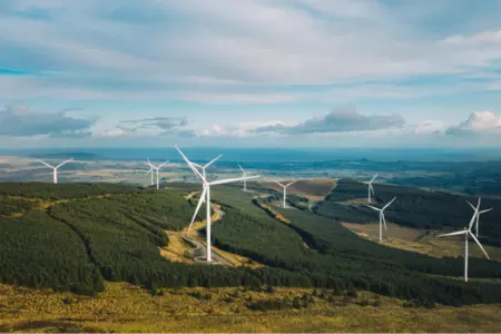 Sustainability Homepage 